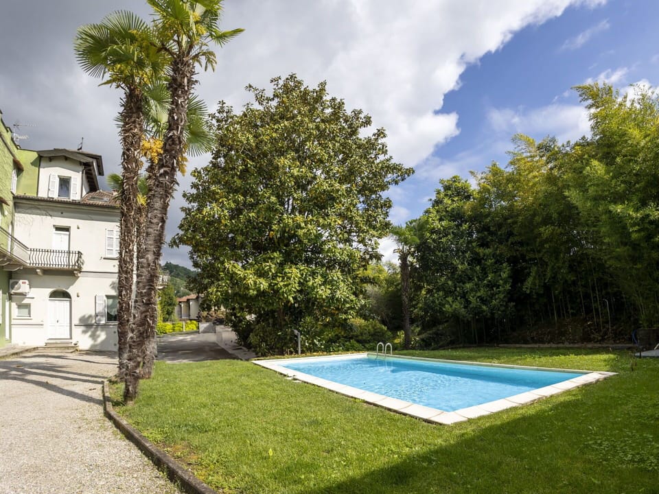 Shrub, Residential Area, Home, Estate, Garden, Lawn, Landscaping, Yard, Mansion, Villa