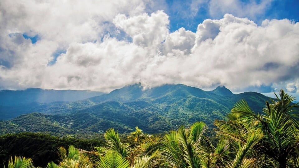 El Yunque Rainforest 