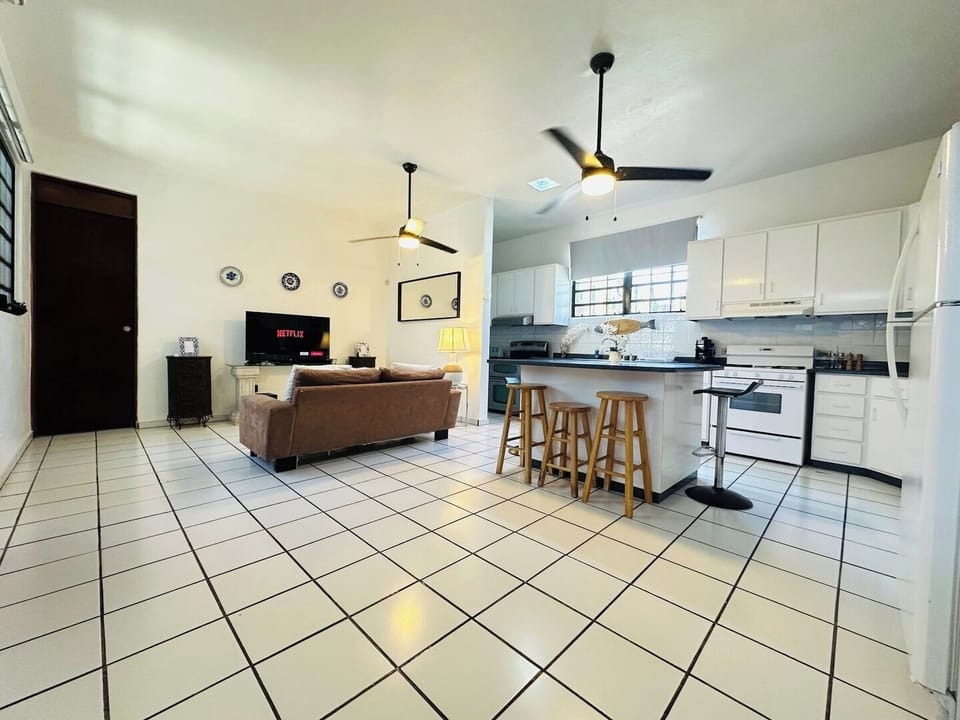 Living room and kitchen areas