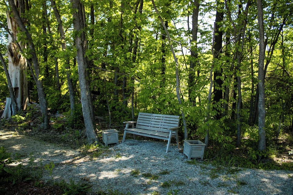 Walking path