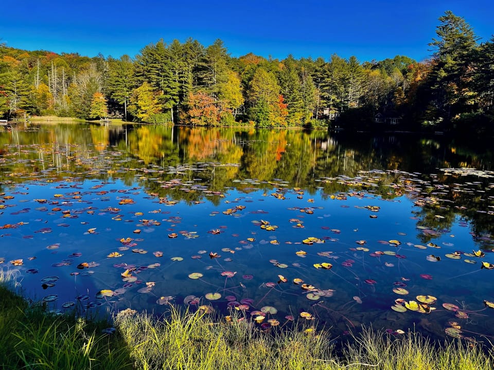 A Two Minute Walk To Nearby Apple Lake