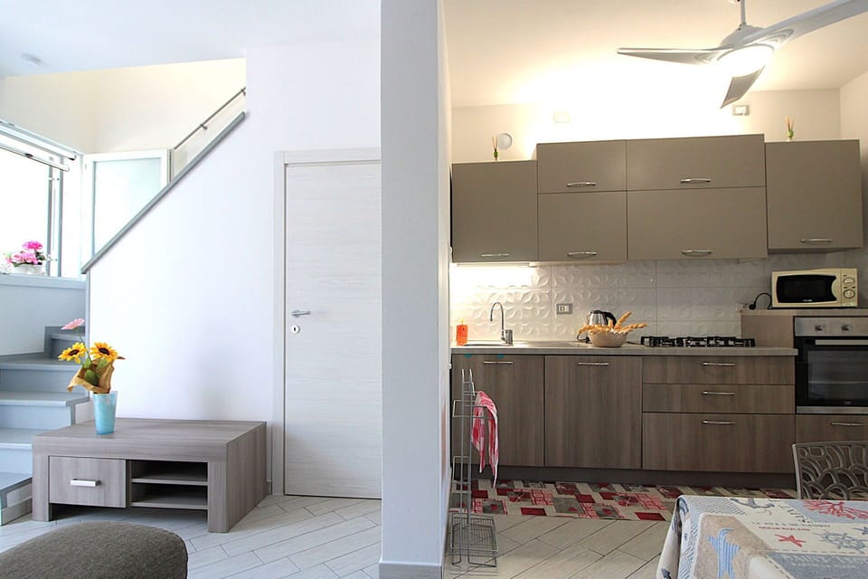 Autumn, Kitchen, Spring, Summer