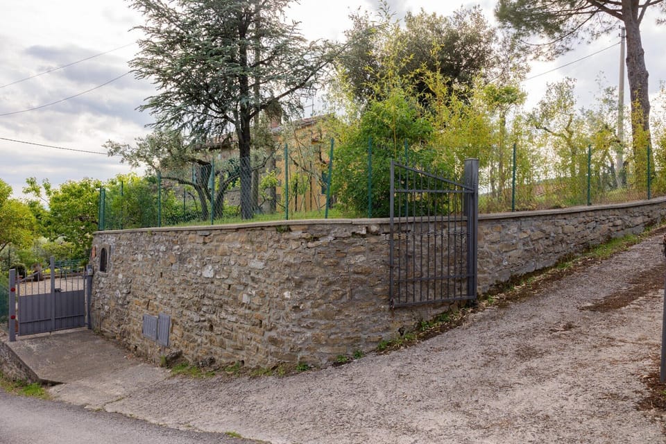 Entrance / Reception