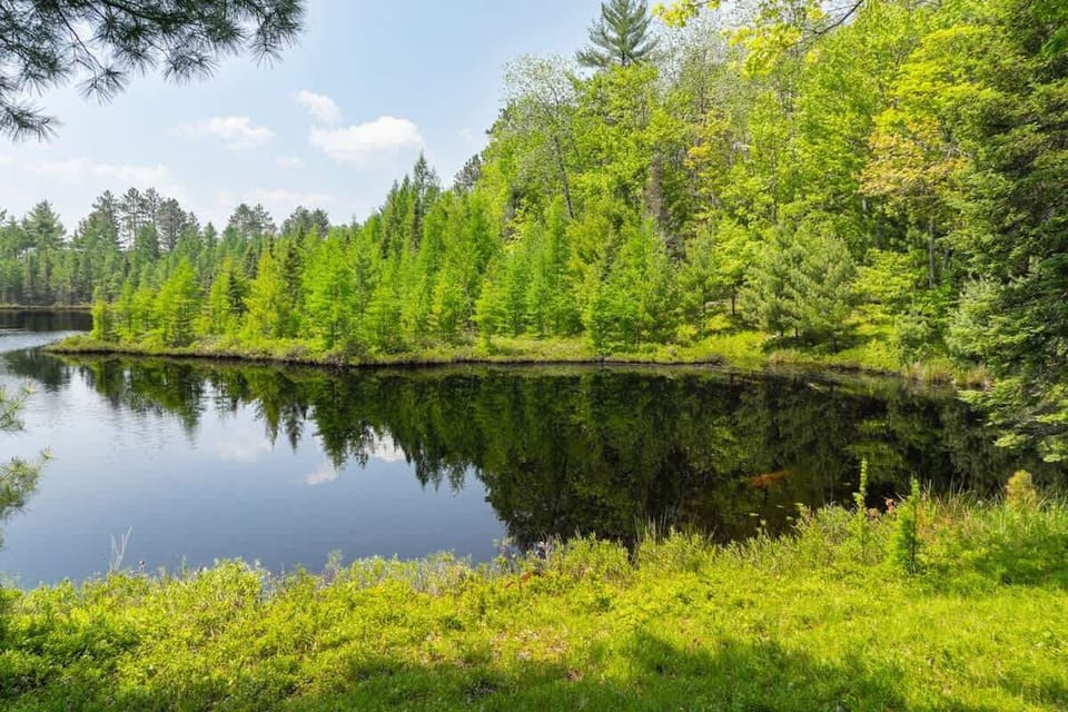 Tamarack Lodge AE-19