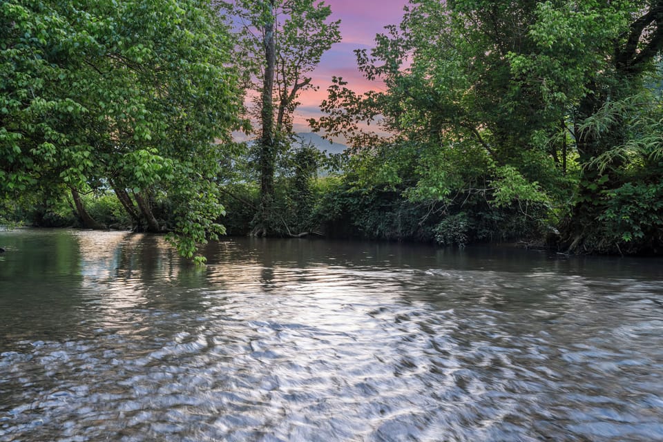 Creekside views just steps from your back deck