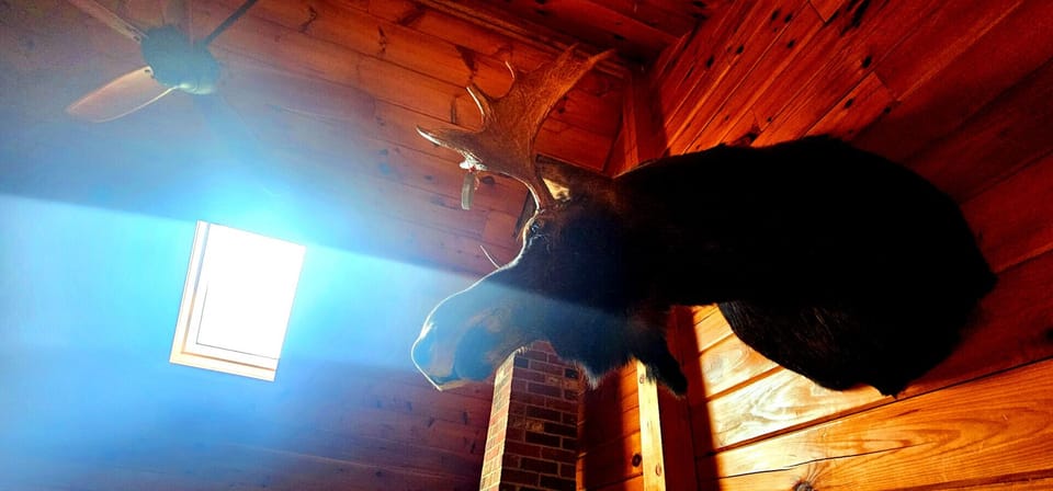 Moose-themed decor adds a playful nod to your Maine adventure.