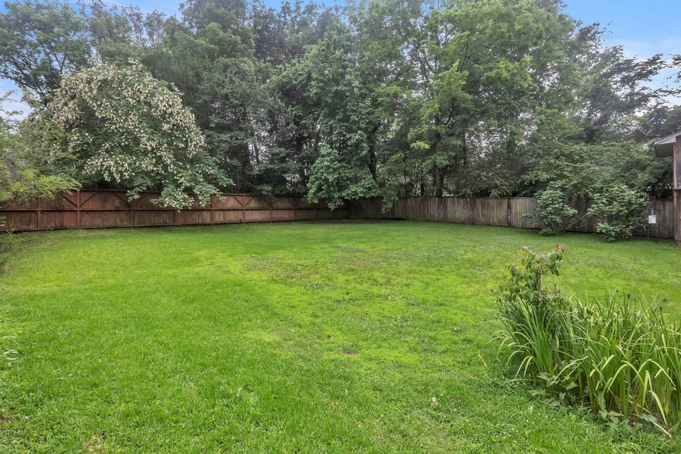 Backyard