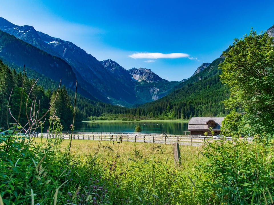 Region [summer] (>5 km)