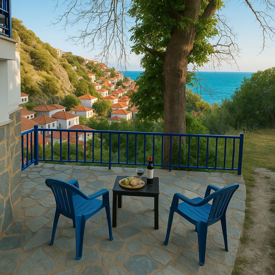 Enjoy drinks and snacks under our 60 year old plane tree.