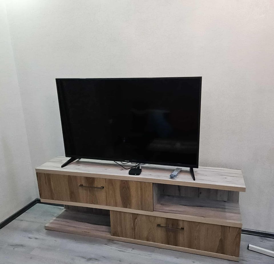 Television