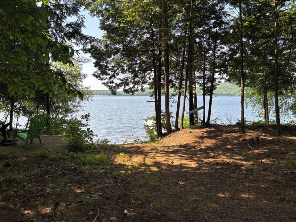 View of the lake from the yard.