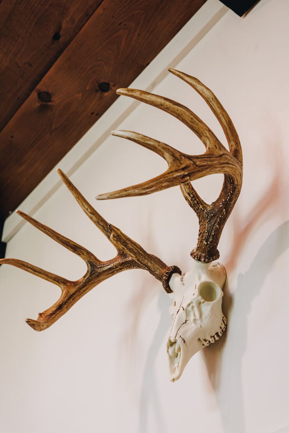 Rustic wall décor ties the modern space back to its woodland setting.