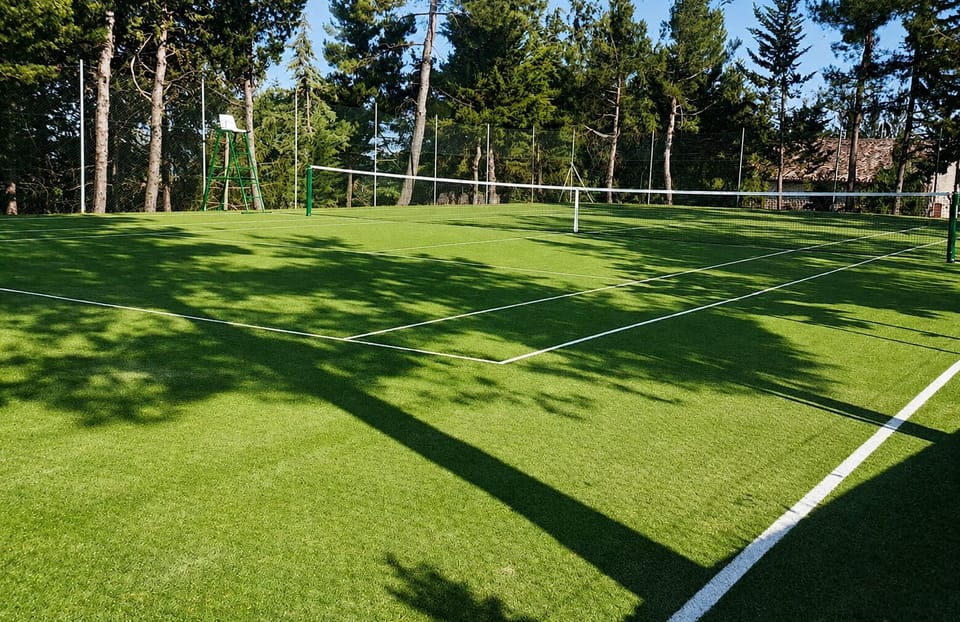 Sport court