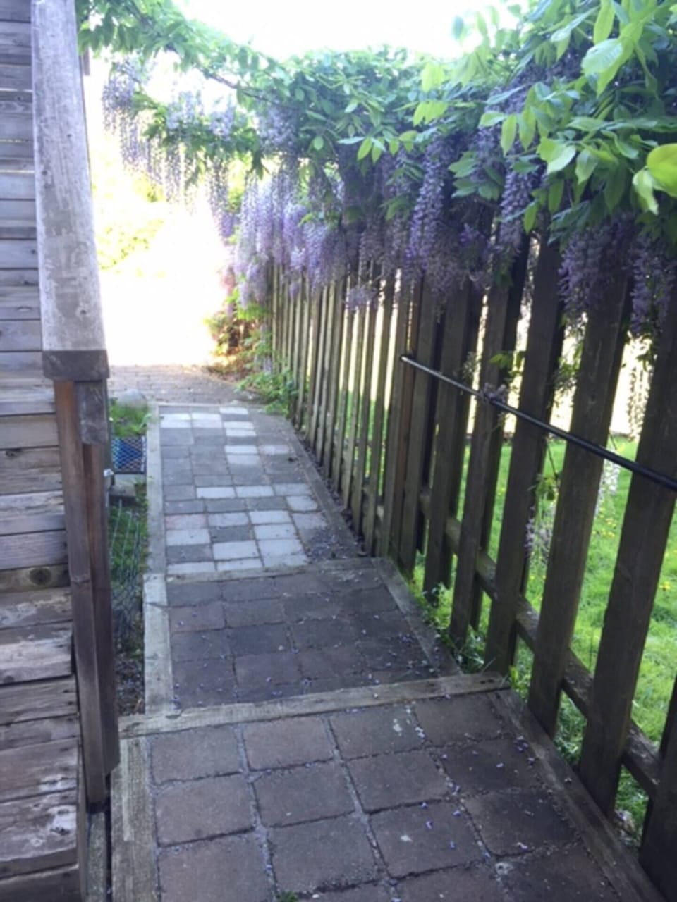 Steps to reach private entry; the fence has been updated and wisteria is gone.