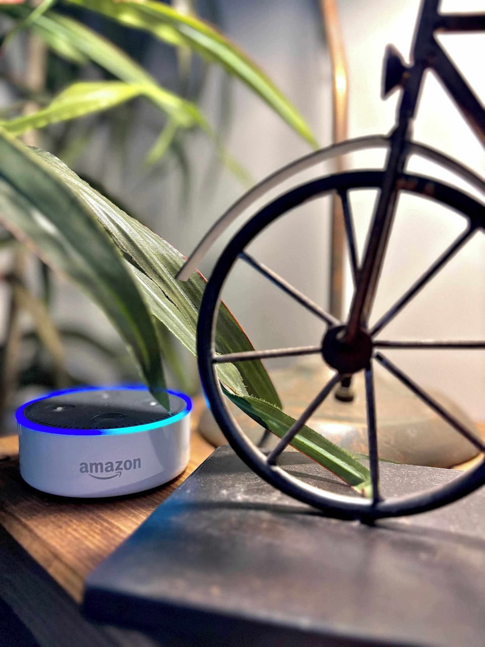 Alexa at your service—just ask for music, info, or local tips anytime!