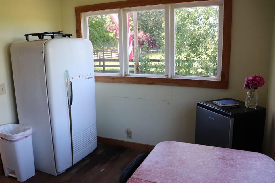 Vintage refrigerator used as cabinet space