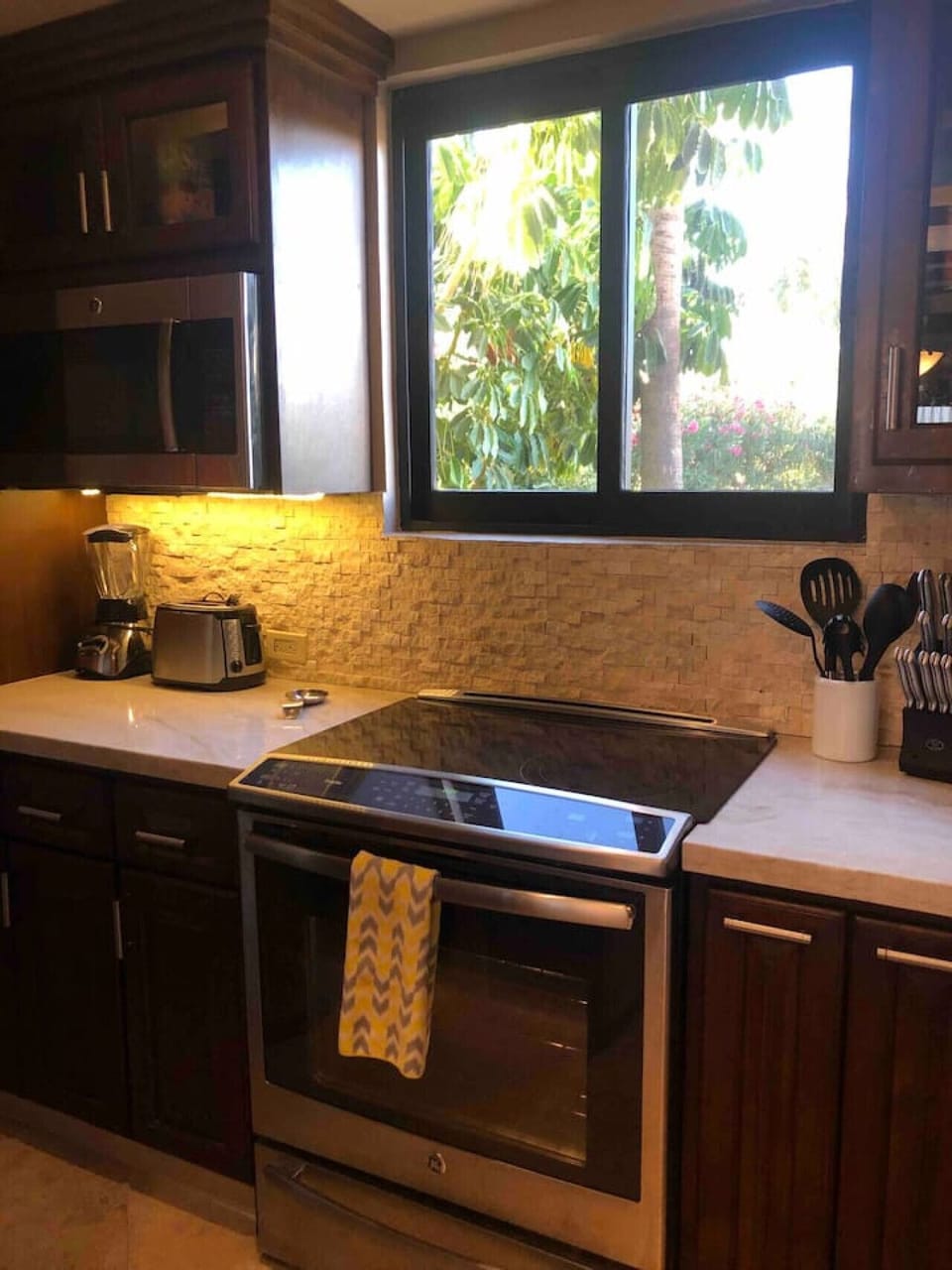 Kitchen cooking area with a glass-top electric stove, a stainless steel oven, and a microwave.