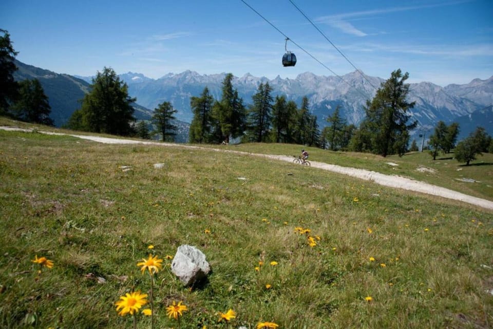 Surroundings [summer] (1-5 km)