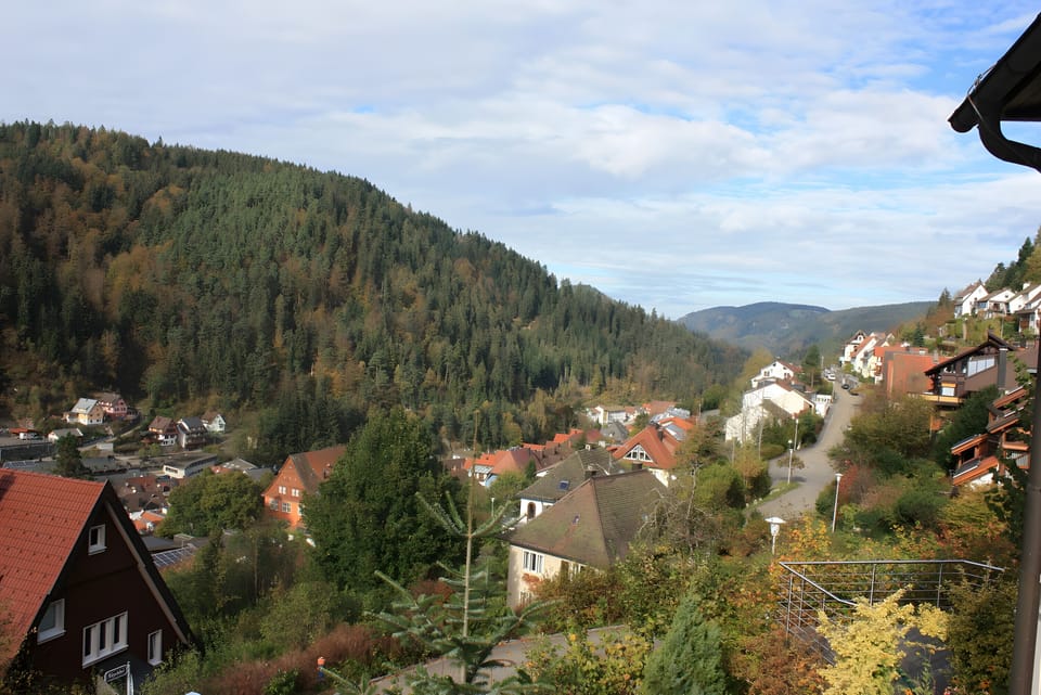 View from property