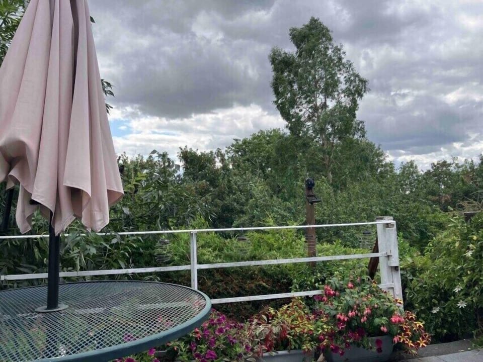 View from balcony chairs South facing. C2 C railway line running through trees at end of 50’ garden