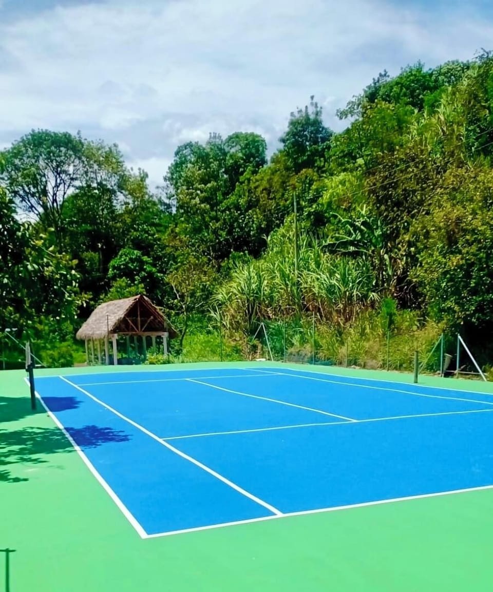 Sport court