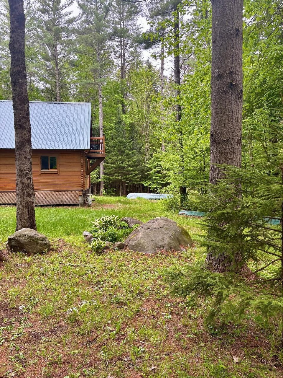 Back of the Cottage