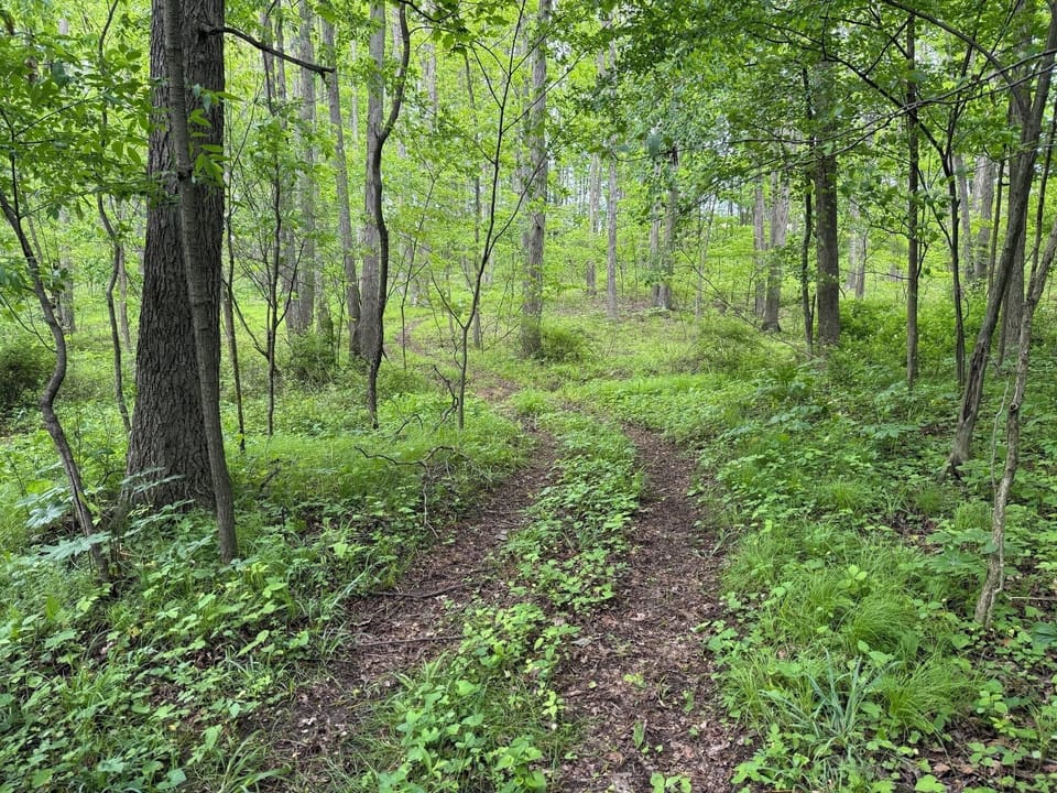 Trails through the property