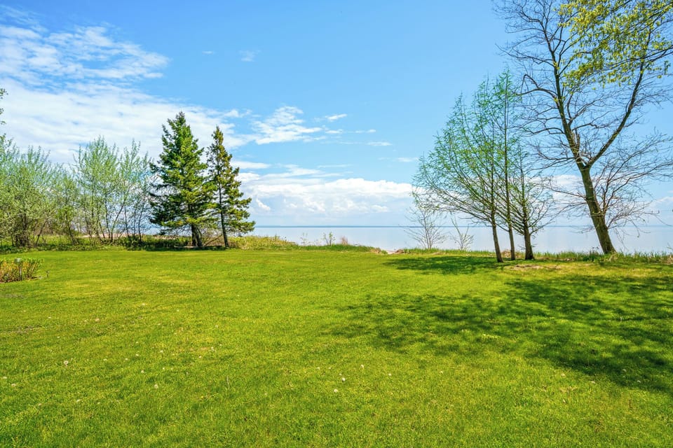 spacious backyard 