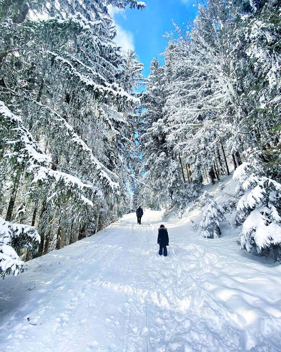 Snow and ski sports