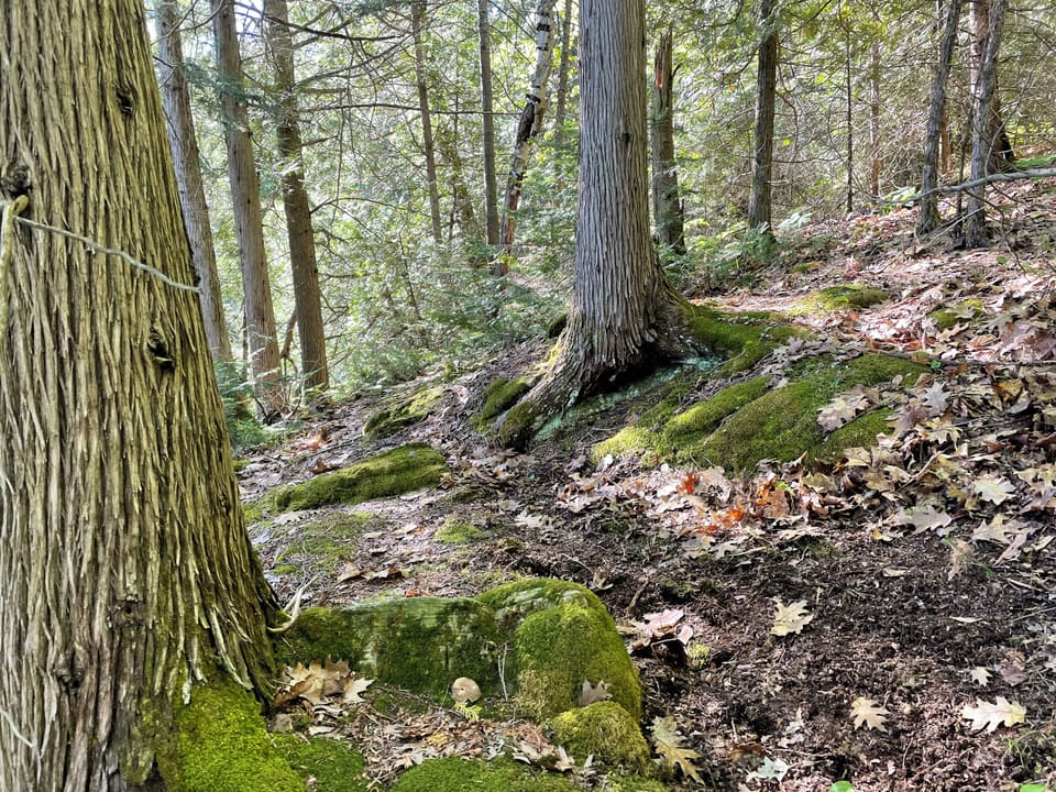 300 acres of Crown Land to explore