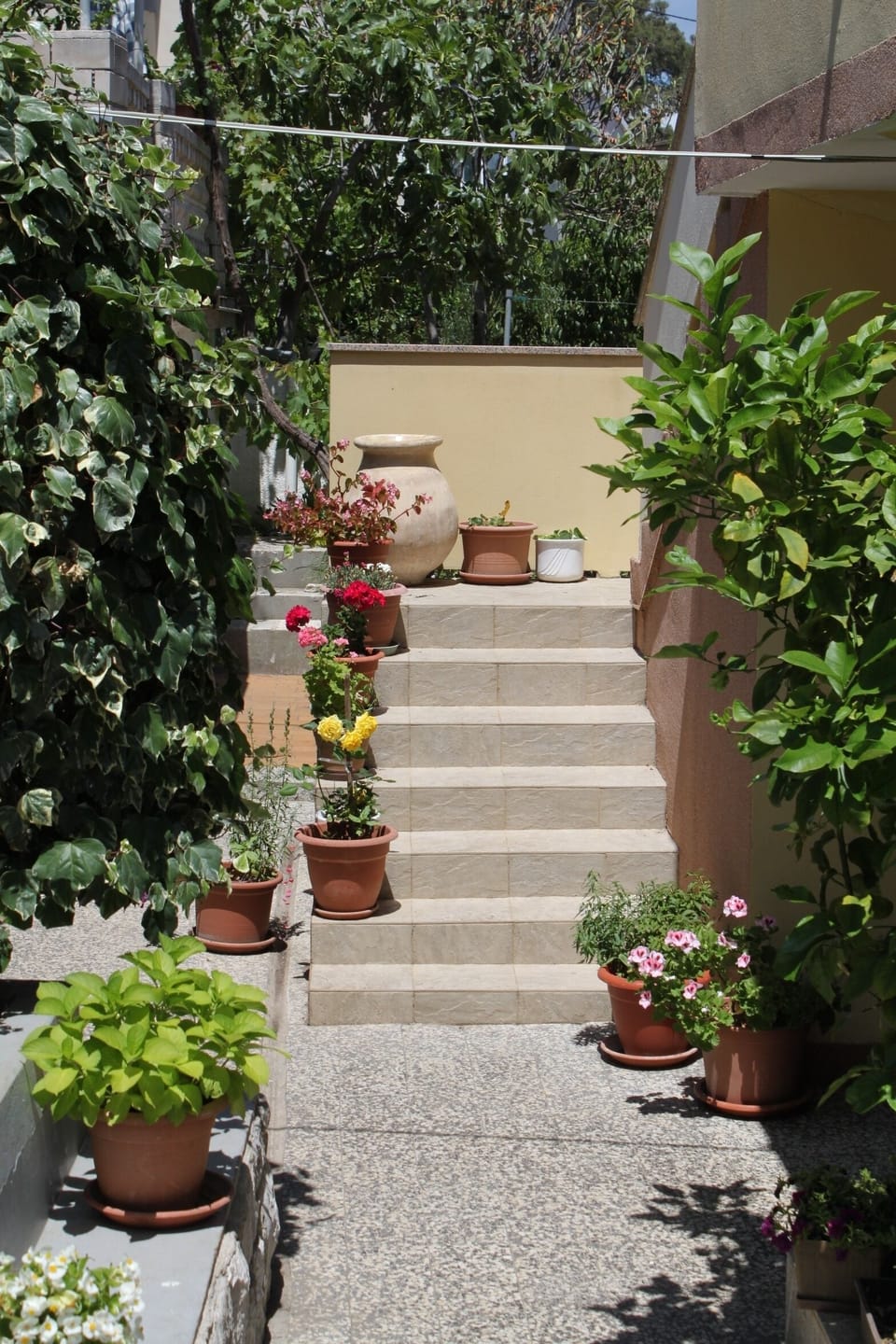 Courtyard