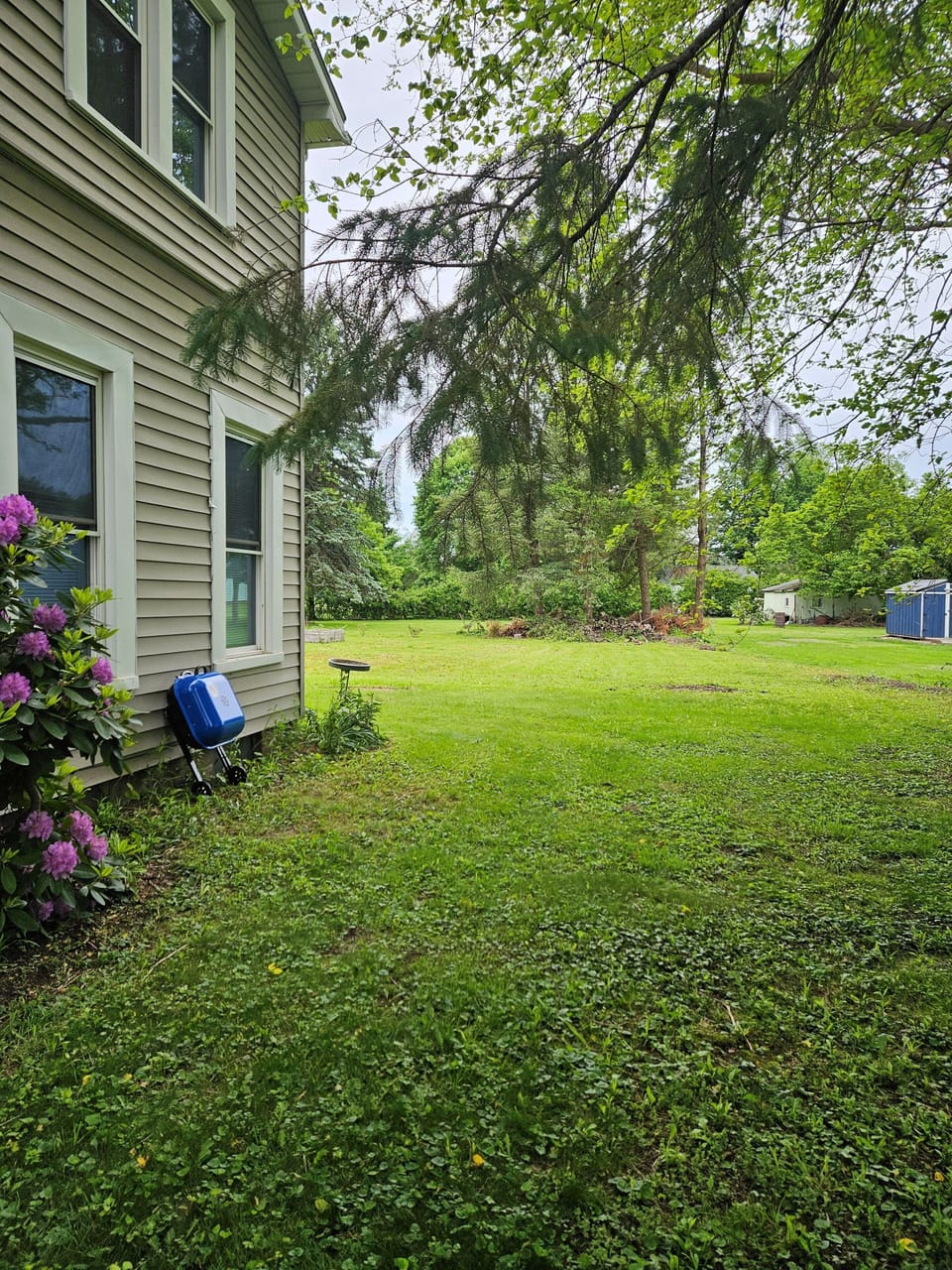 Property grounds