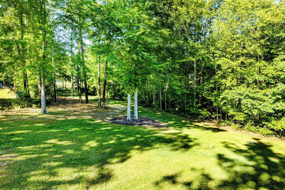 Nature’s Backdrop – This lush, private view from the deck brings quiet mornings and shaded afternoons into perfect focus.