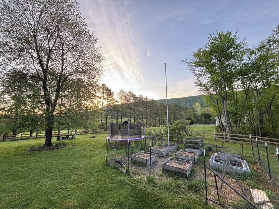 Fire pit, trampoline, and tree swing