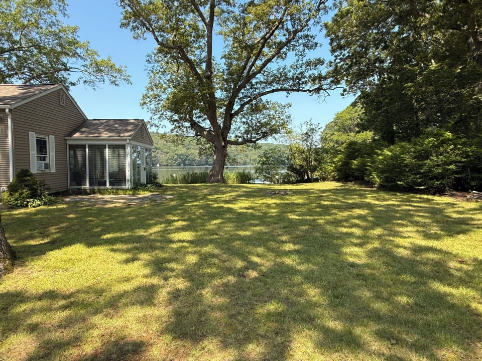 A portion of our large yard.