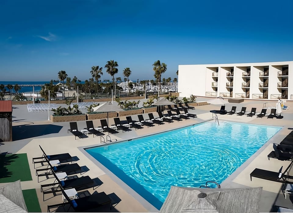 Enjoy a refreshing swim with marina and palm views nearby.