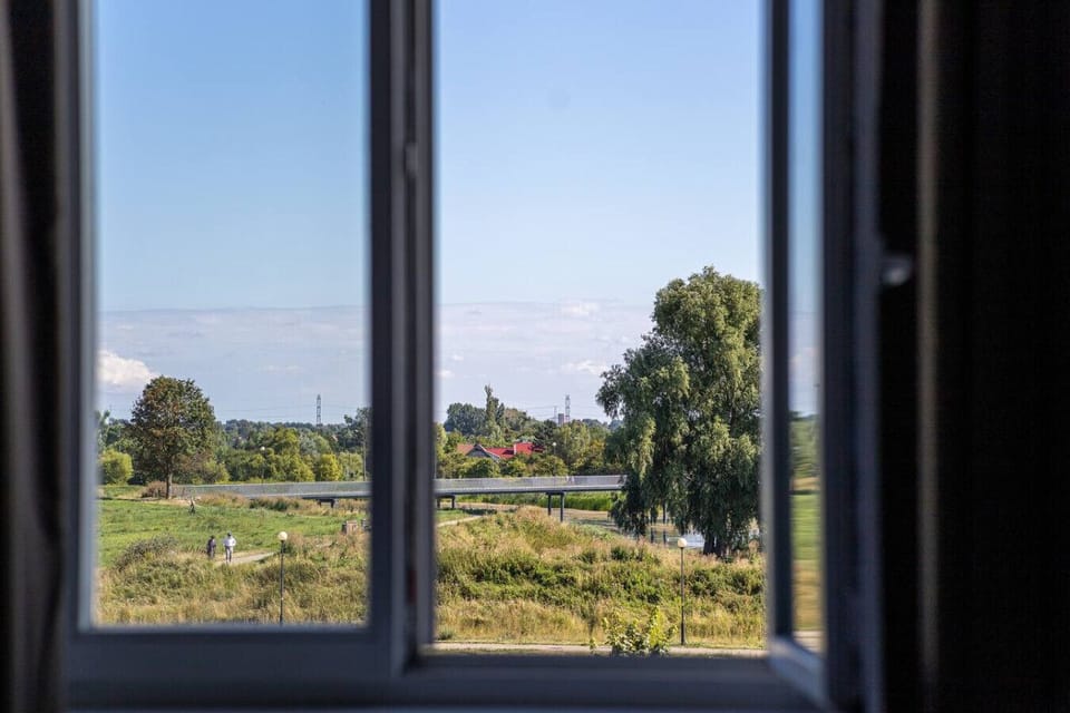 Green view from the shared kitchen window