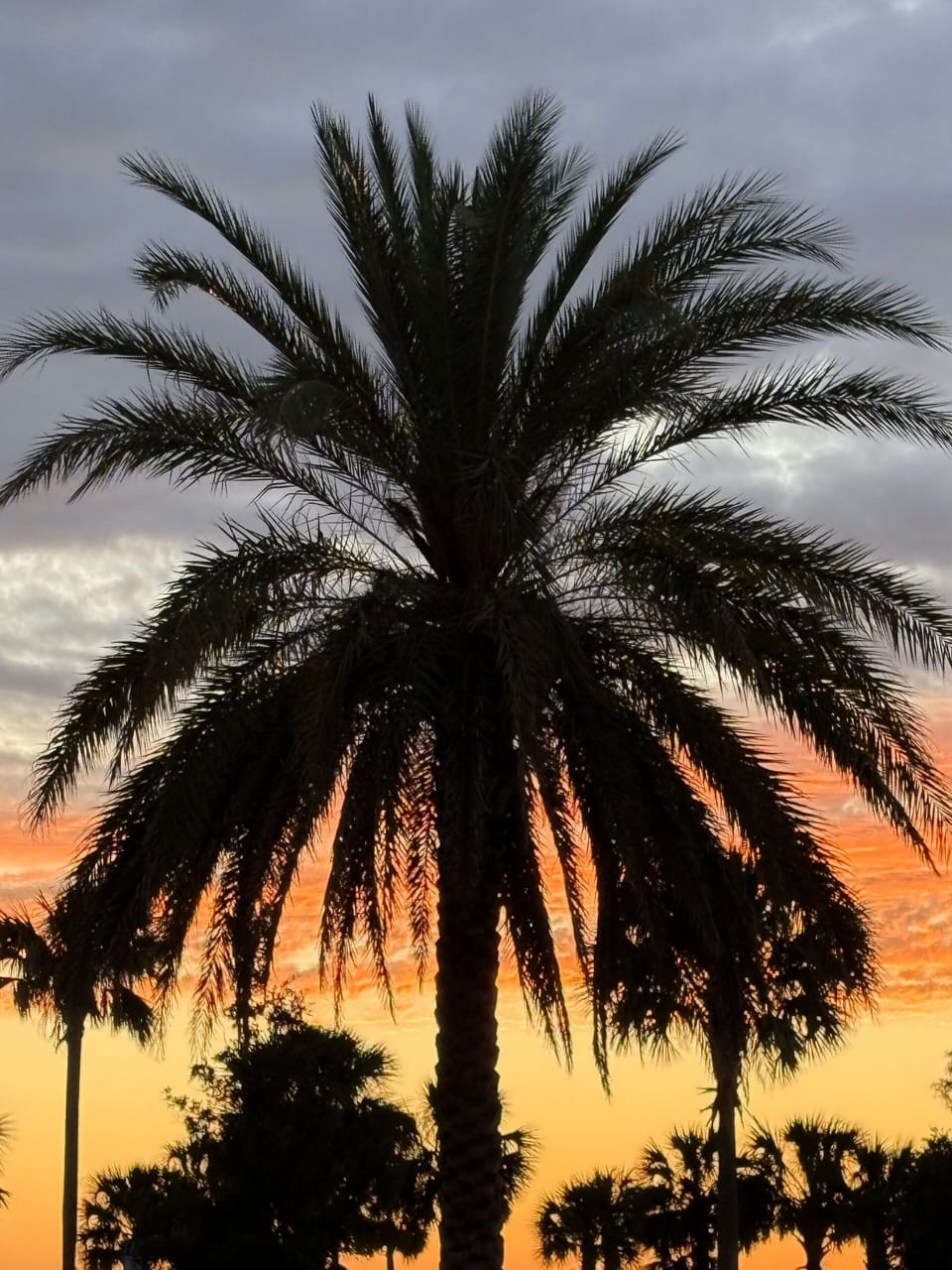Enjoy the Tropical Sunsets!