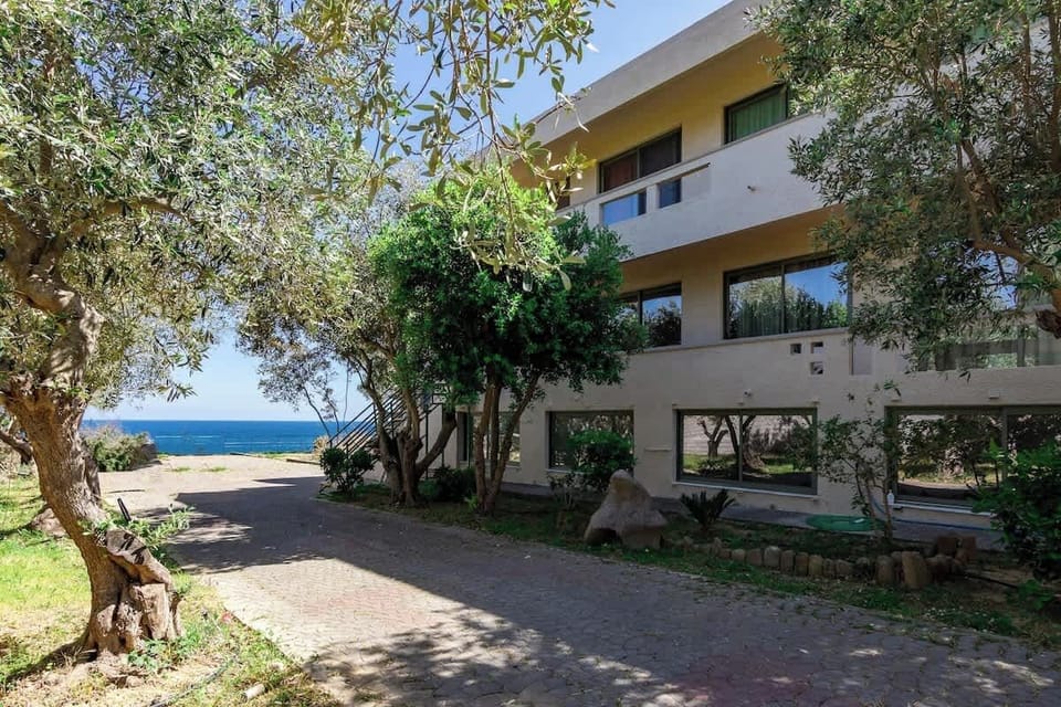 Shaded Exterior of the Building Facing the Sea
Entrance area nestled among trees, just a short walk from the water.