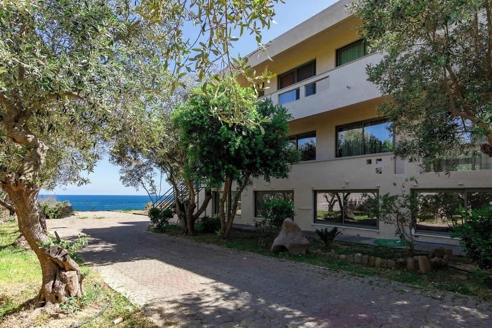 Outdoor View of the Accommodation Framed by Olive and Cypress Trees
Mediterranean charm surrounds this peaceful, low-rise complex tucked between trees and sea.