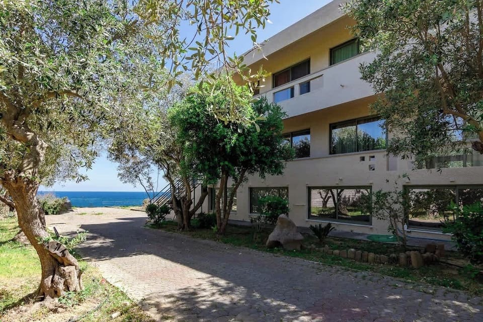 Outdoor Area of the Property Surrounded by Olive Trees and Greenery
Enjoy the calm surroundings with shaded outdoor walkways and Mediterranean landscaping all around the accommodation.
