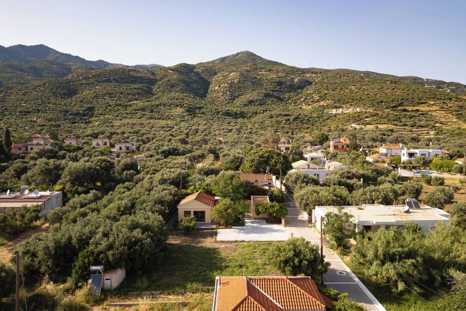 Aerial view of the premises