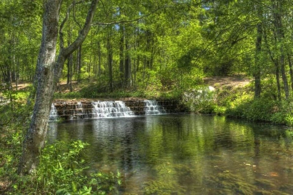 surrounded by nature