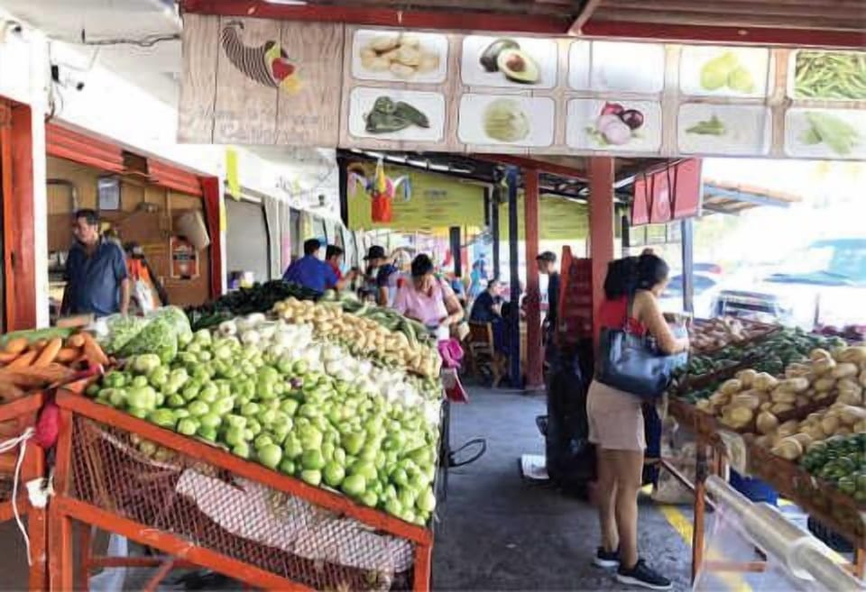 Mercado Palmar de Aramara Traditional Market – You can do all your groceries here, we love the fresh seafood, meat and vegetables.  In the inside you can have breakfast or lunch. 5min by car. 

