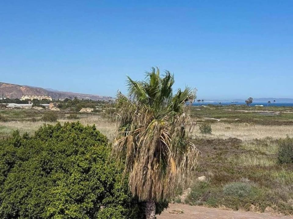 Surroundings [summer] (1-5 km)