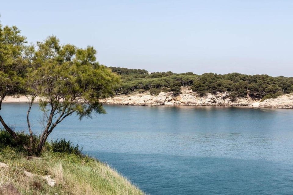 Surroundings [summer] (1-5 km)
