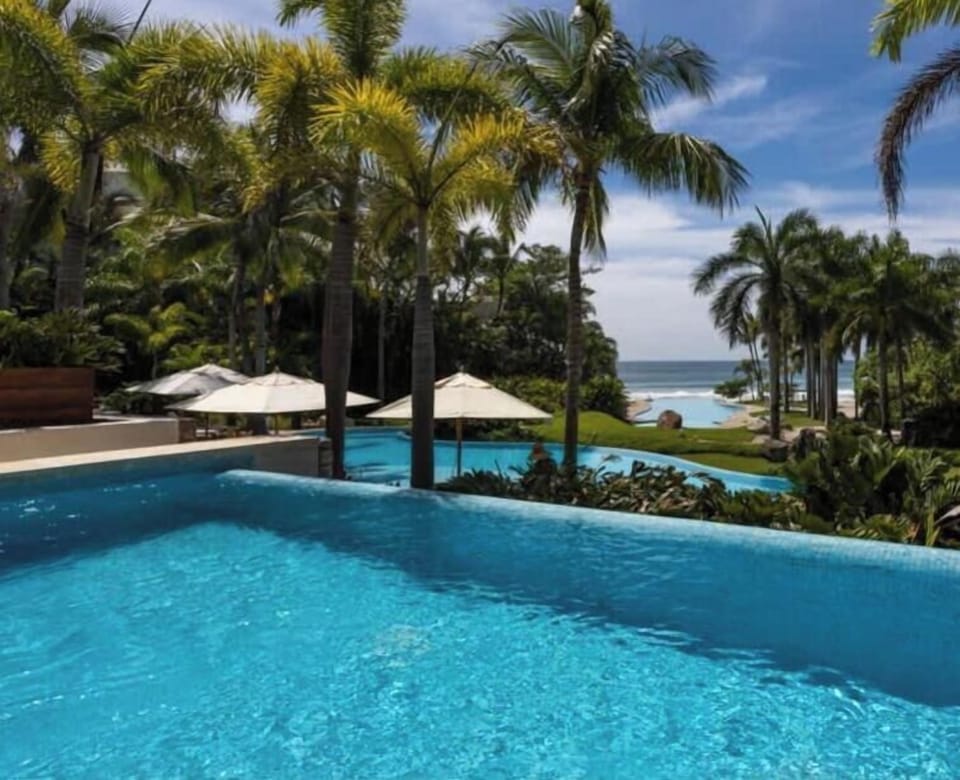 Shared Infinity-edge pool surrounded by palms, creating a peaceful tropical escape.