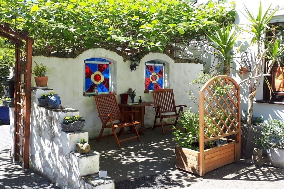 Garden [summer]