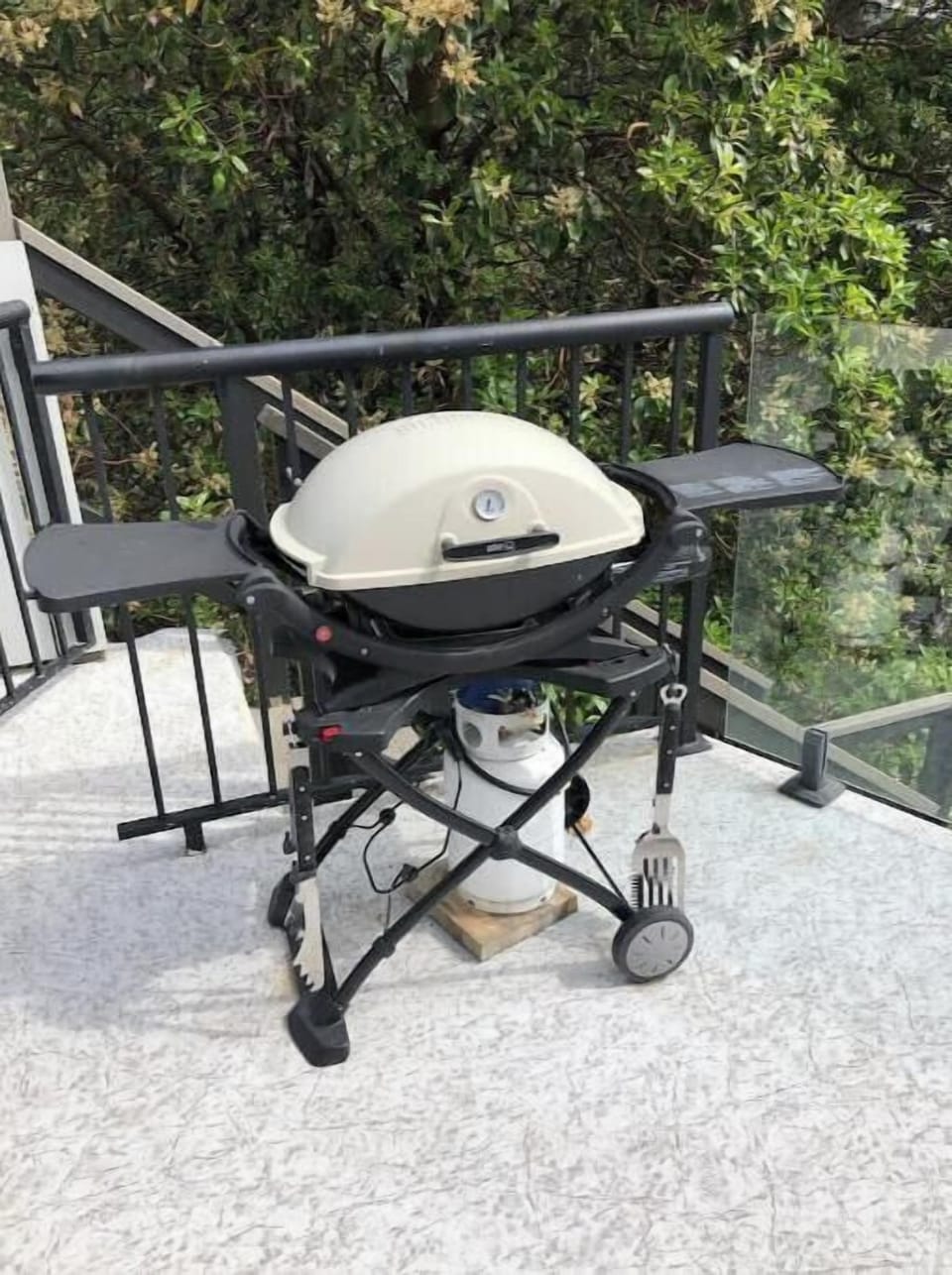 Guest bbq