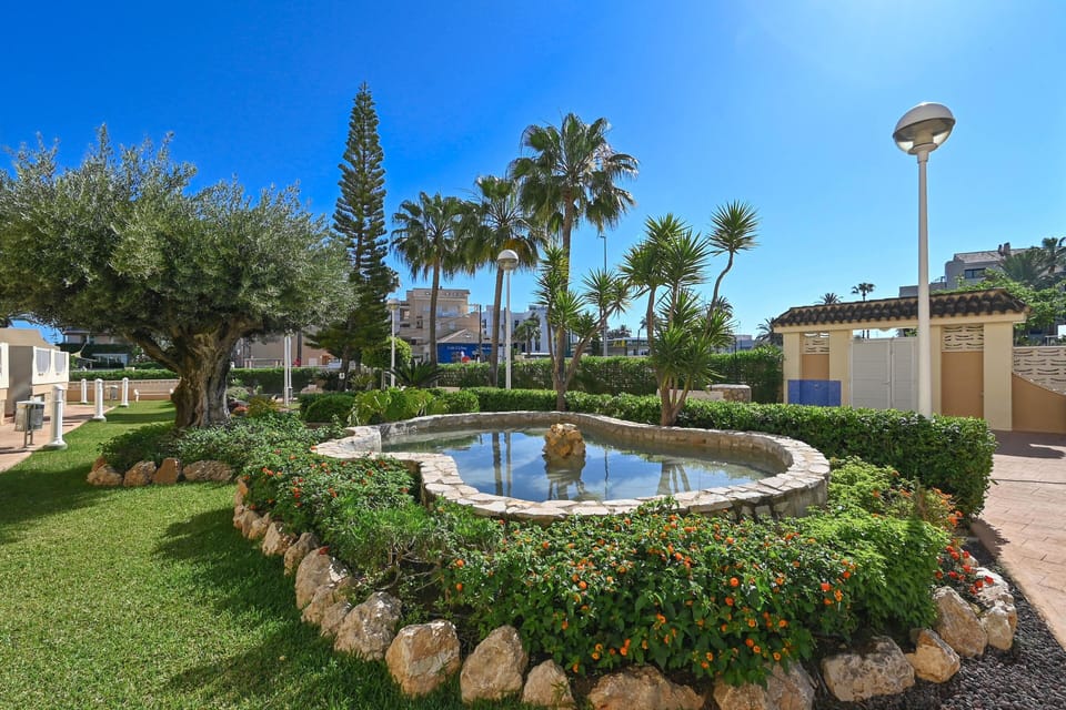 Garden with lawn